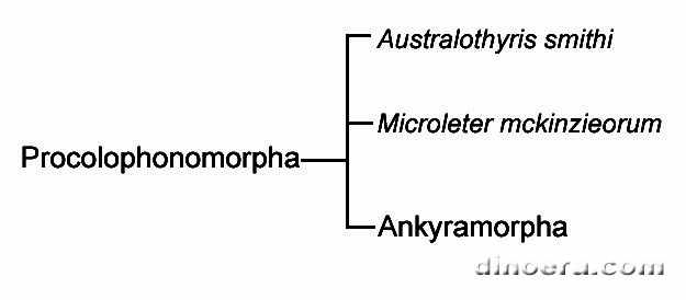 Procolophonomorpha Ankyramorpha 04 cc