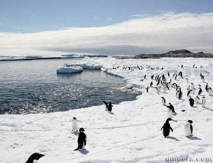 Antarctica 02 cc