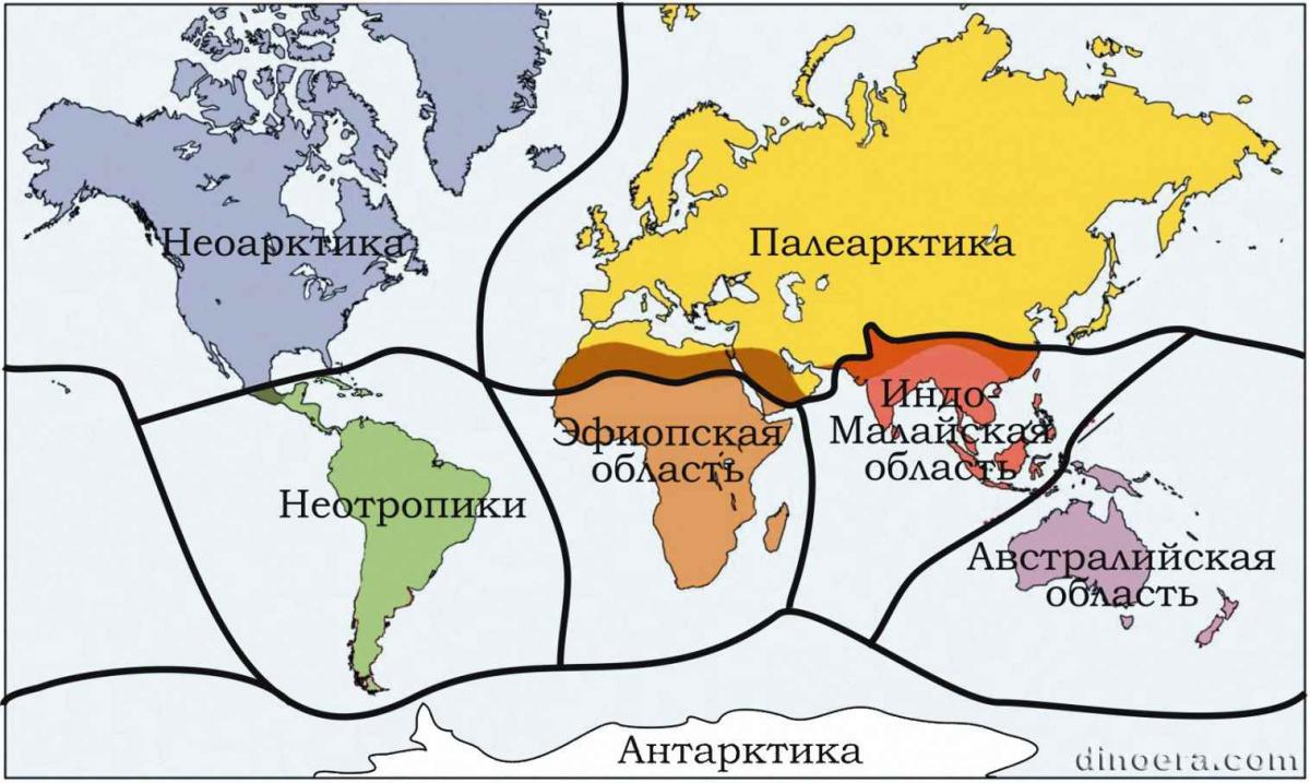 biogeography 01 cc