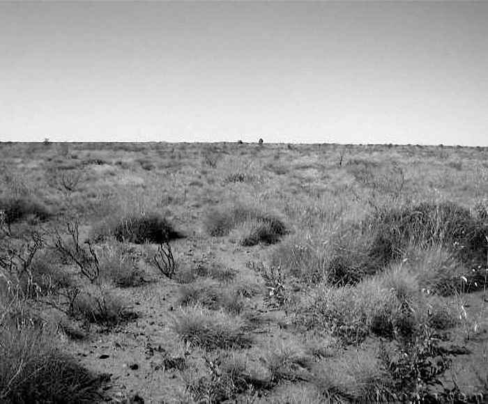 Cattle Well Formation, Mallina 02 cc