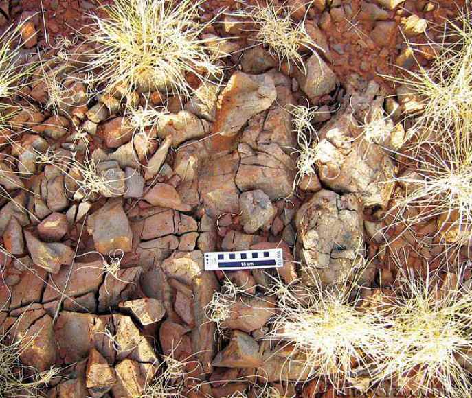 Cattle Well Formation, Mallina 04 cc