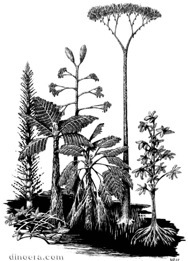 Diaphorodendron Coal swamp plants 01 cc