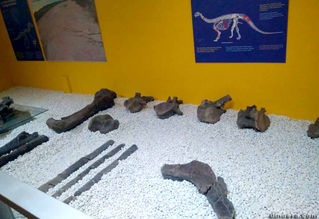 dinosaur bones
