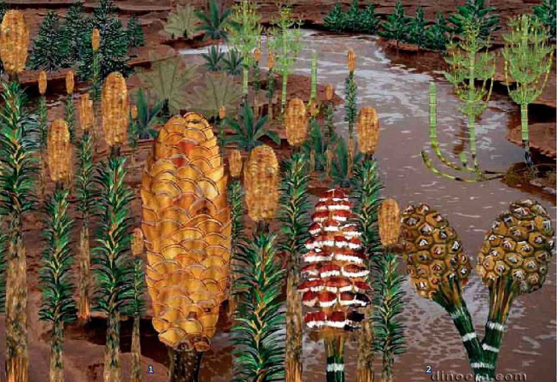 Early Triasic Flora
