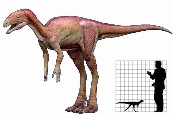 Fabrosaurus 06 cc