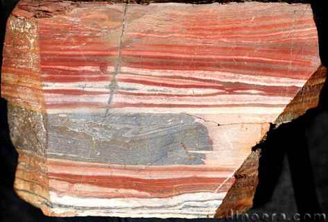 Fig Tree 08 banded chert cc