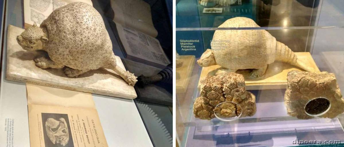 Glyptodon