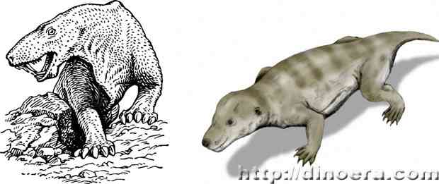 Inostrancevia & cynognath