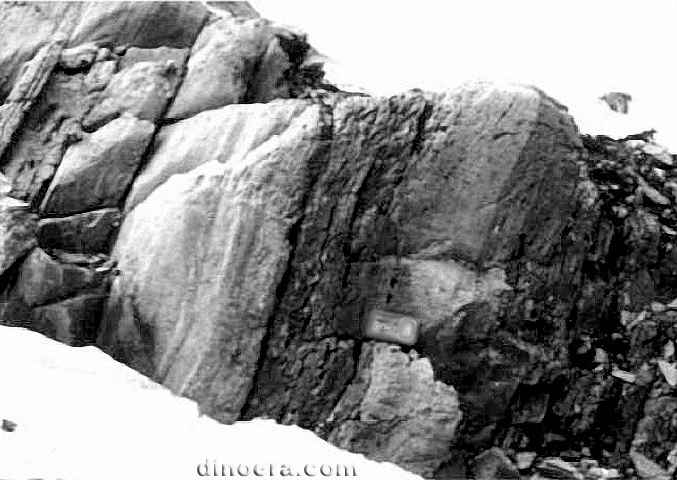 Isua Formation 06 cc