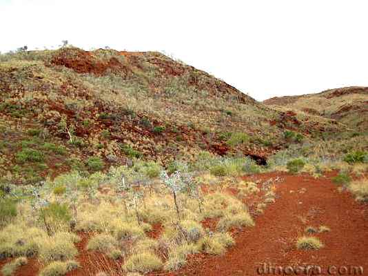 Kangaroo Caves 01 cc