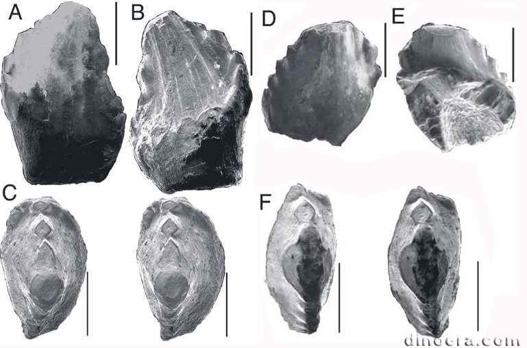 Krzyzanowskisaurus hunti