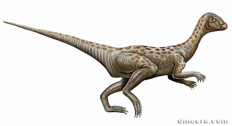 Lanasaurus scalpridens 01 by Mr. Gopal cc