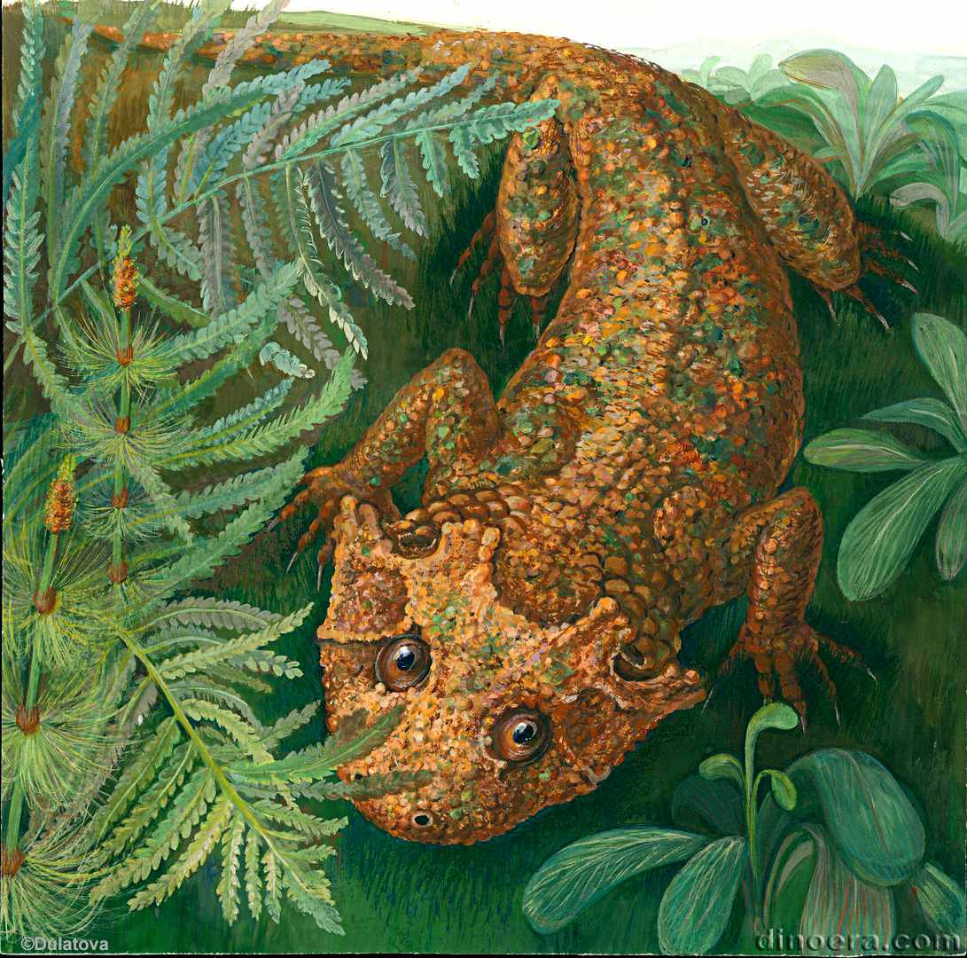 Lanthaniscus efremovi Lanthaniscus efremovi by Дулатова О.Р. cc