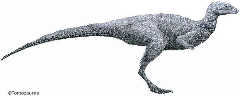 Laquintasaura venezuelae 09 by Tomozaurus cc