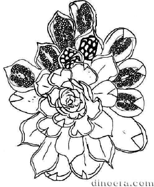 Lepacyclotes bechstaedtii 06 cc