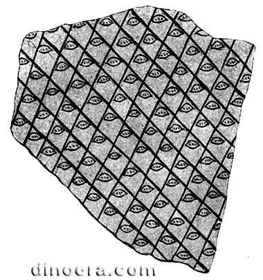 Lepidodendron sigillarioides 01 cc