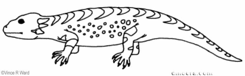 Libognathus sheddi Libognathus sheddi