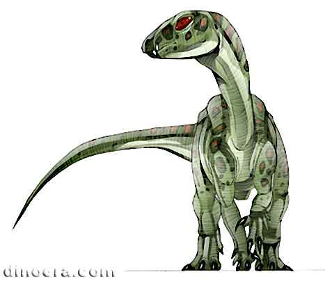 Lycorhinus angustidens 04 cc