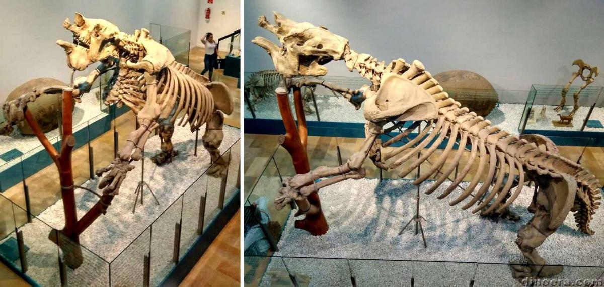 Megatherium americanum