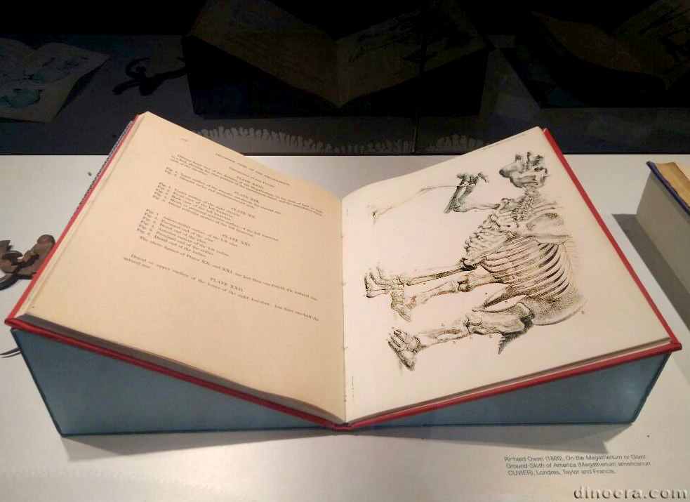 Megatherium