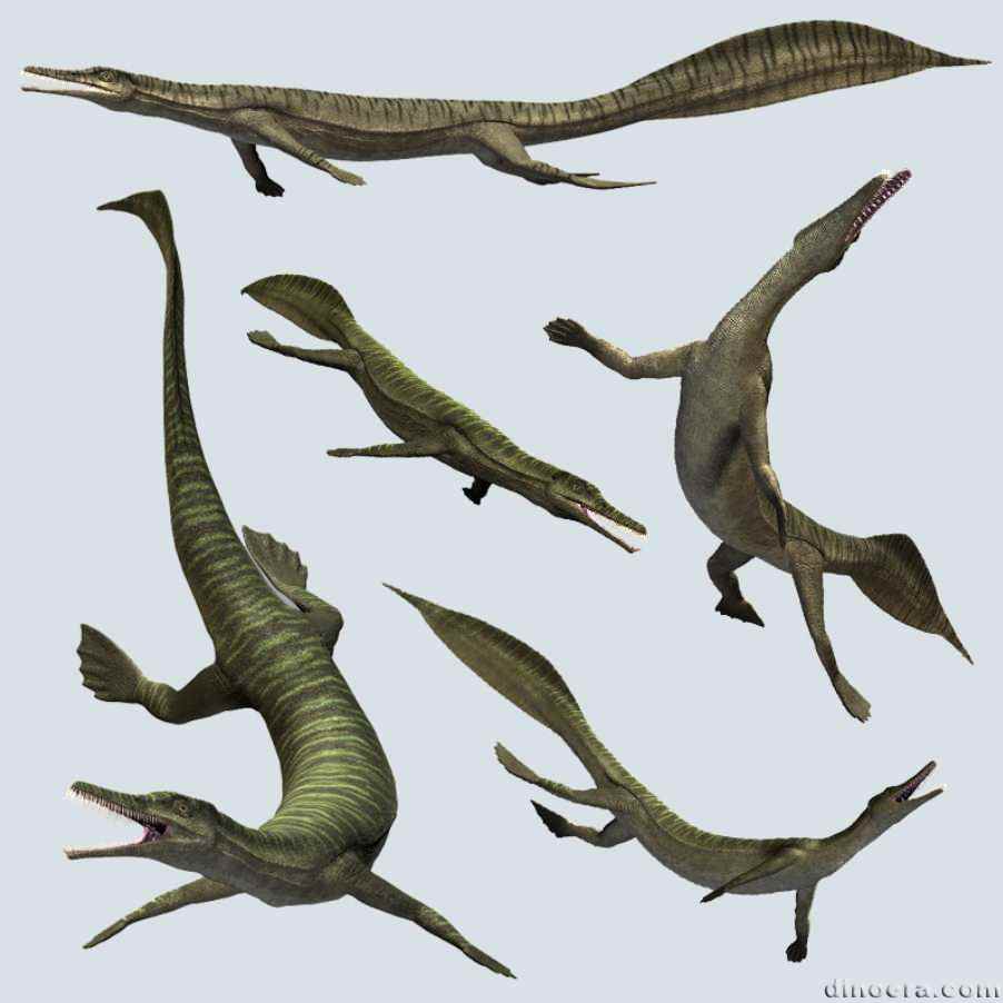 Mesosaurus 06 by Dinoraul cc