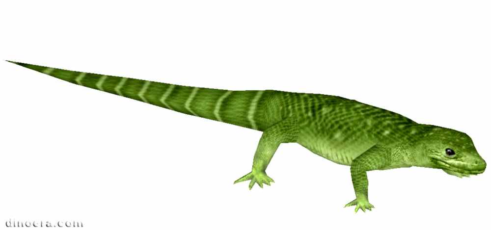 Milleretta rubidgei 10 by Bunyupy 1 cc