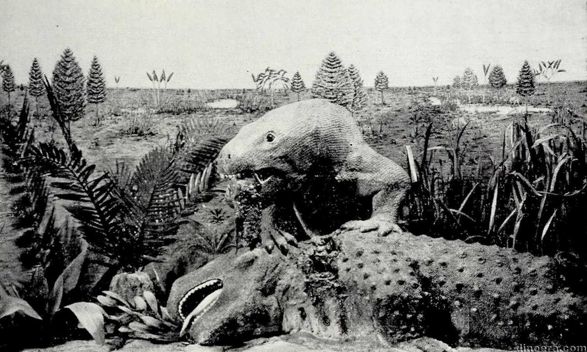 Nochelesaurus alexanderi