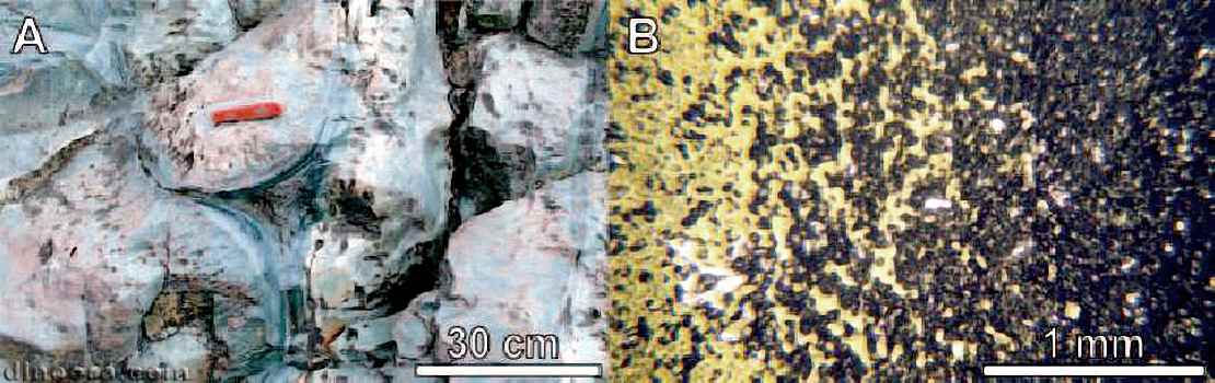 Onverwacht Hooggenoeg 12 cc