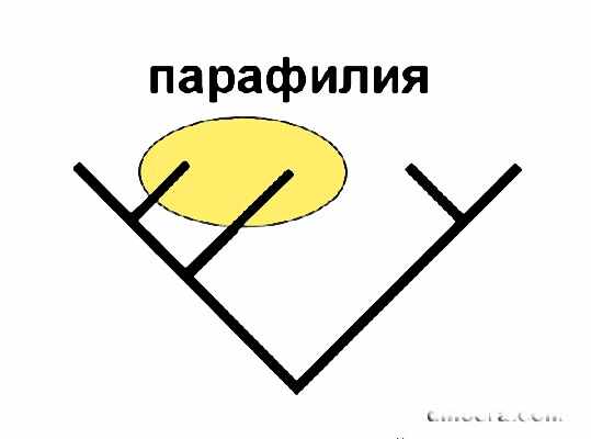 Paraphyly