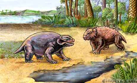 Pareiasauria