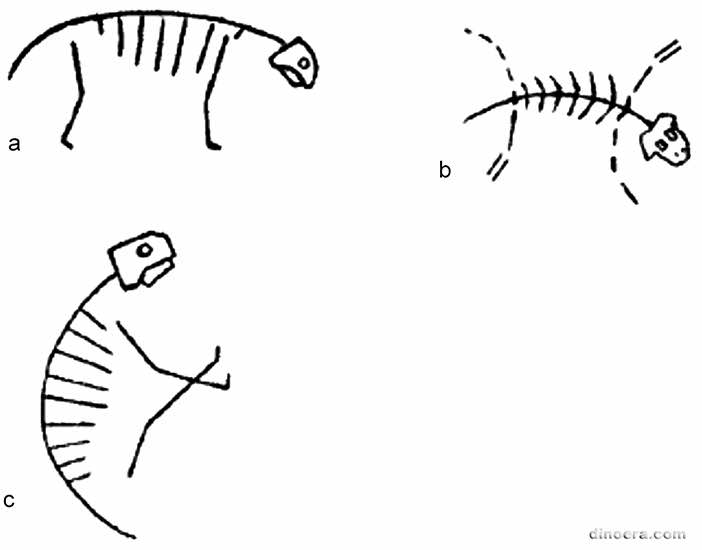 Pareiasauria Pareiasauria