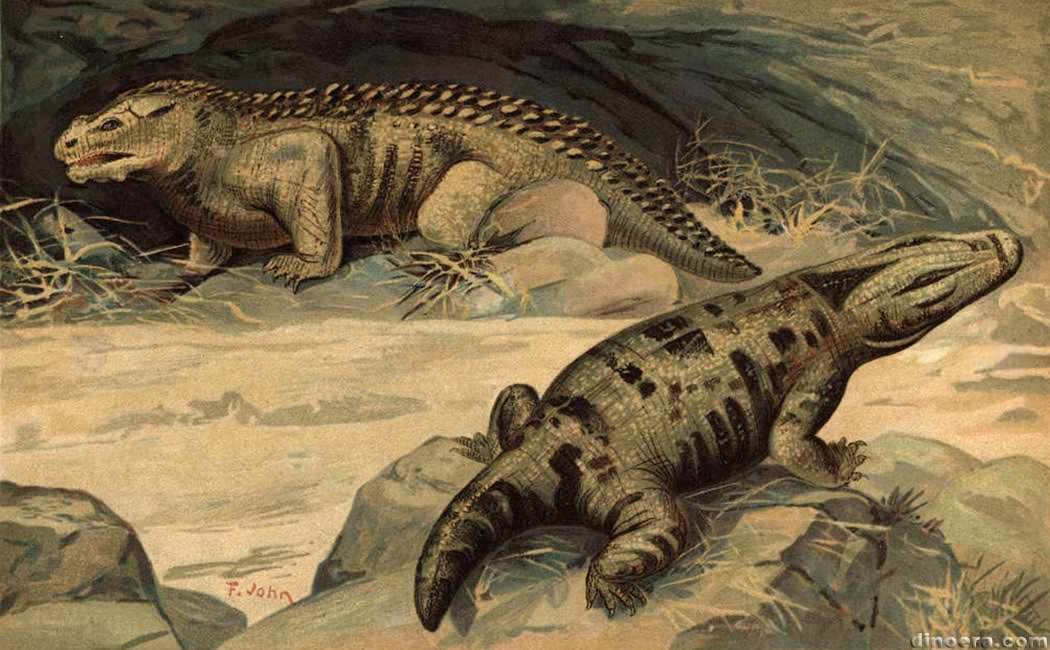 Pareiasaurus