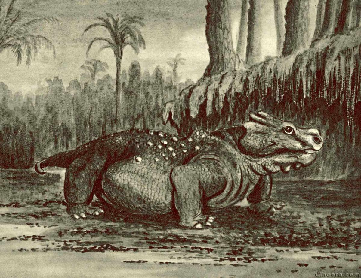 Pareiasaurus
