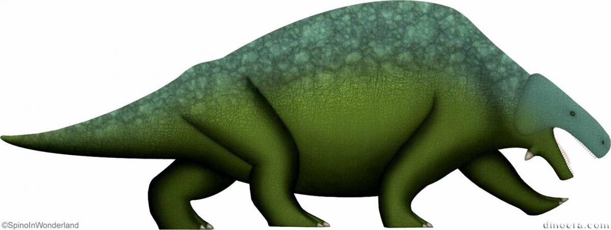 Pareiasaurus henneni
