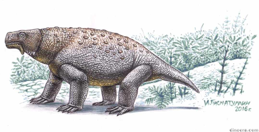 Pareiasaurus serridens