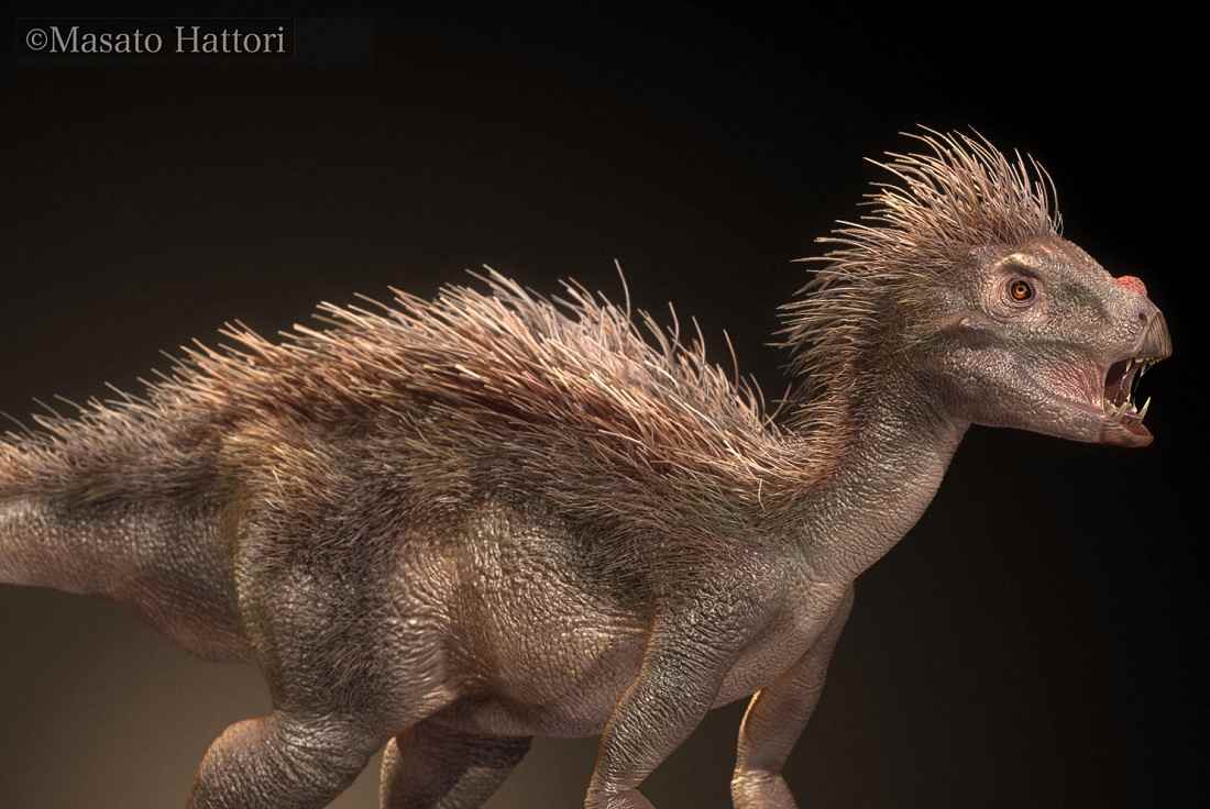 Pegomastax africanus 02 cc