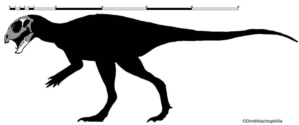 Pegomastax africanus 20 by Ornithischophilia cc
