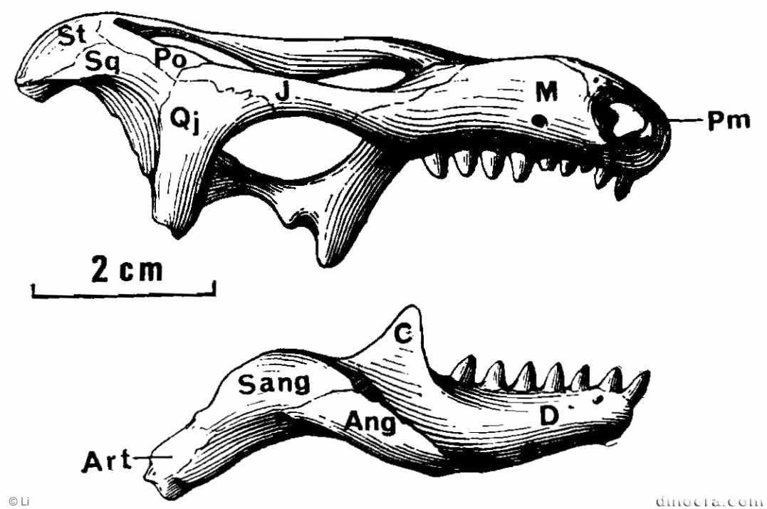 Pentaedrusaurus ordosianus