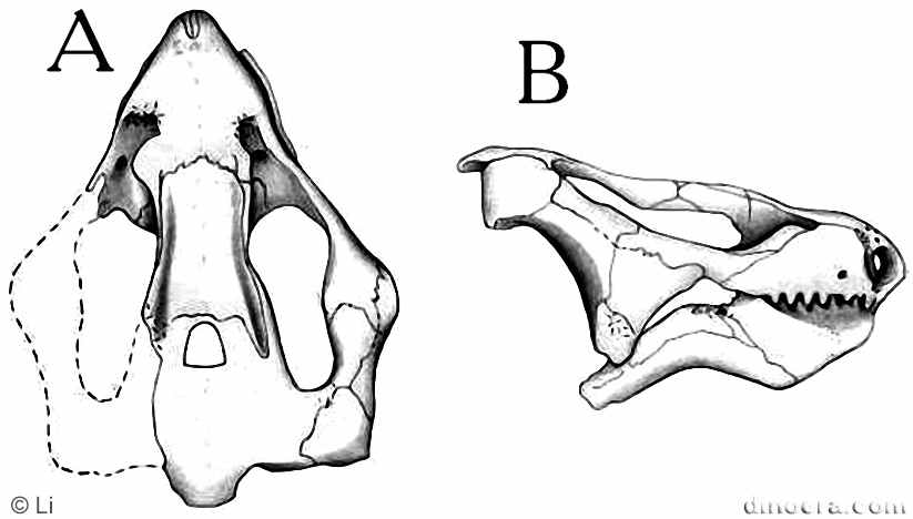 Pentaedrusaurus ordosianus