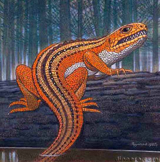 Phaanthosaurus Phaanthosaurus