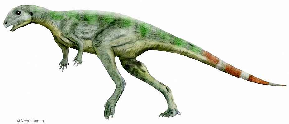 Pisanosaurus mertii 01 by Nobu Tamura cc