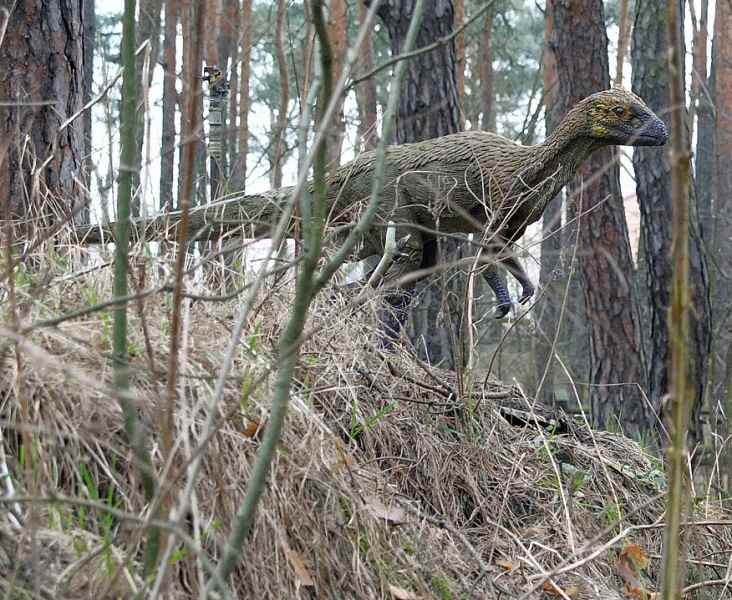 Pisanosaurus mertii 19 cc