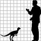 Pisanosaurus mertii 30 size cc