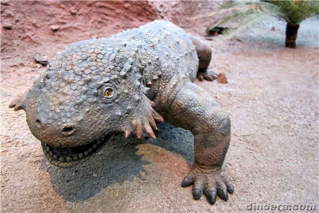 Sclerosaurus armatus Sclerosaurus armatus