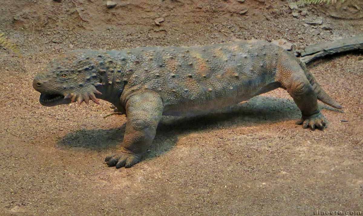 Sclerosaurus armatus