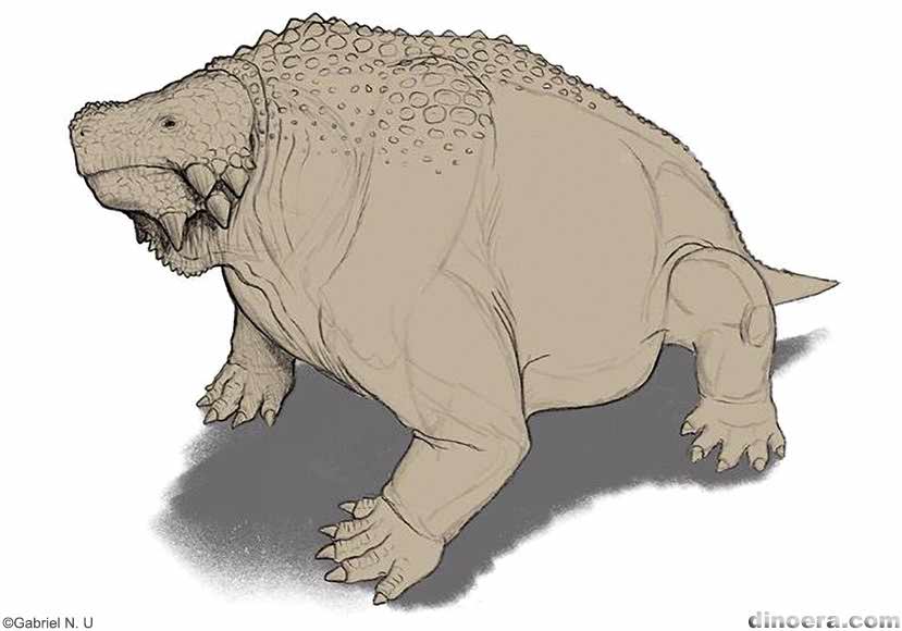 Scutosaurus