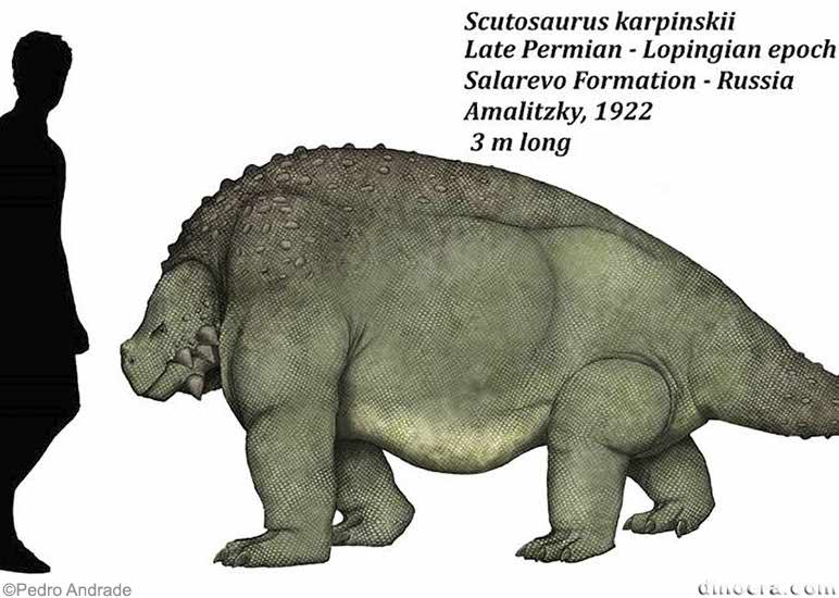 Scutosaurus