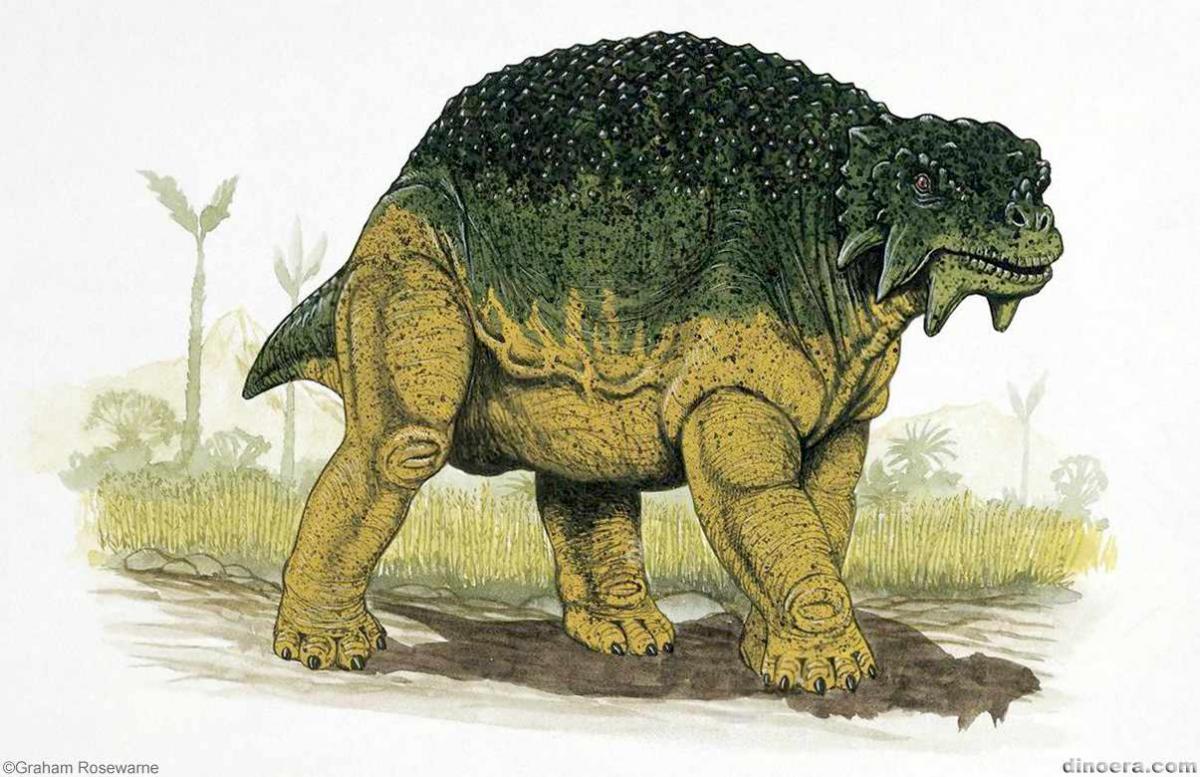 Scutosaurus