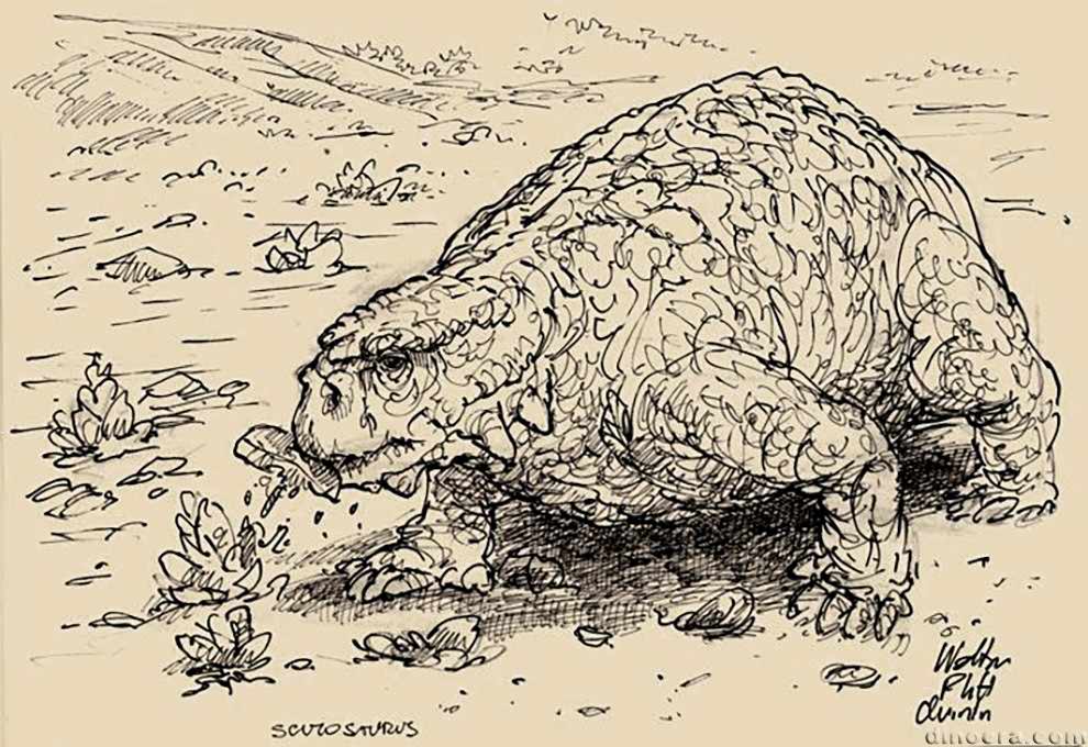 Scutosaurus