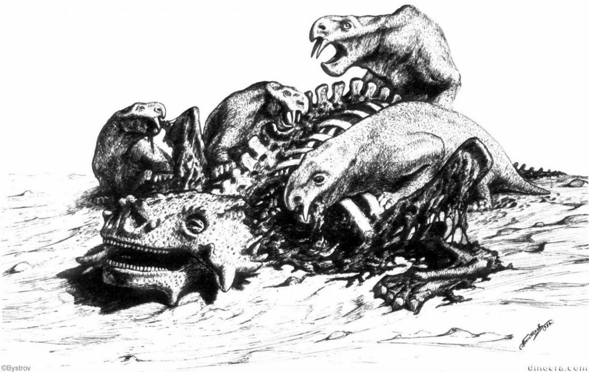 Scutosaurus Inostrancevia
